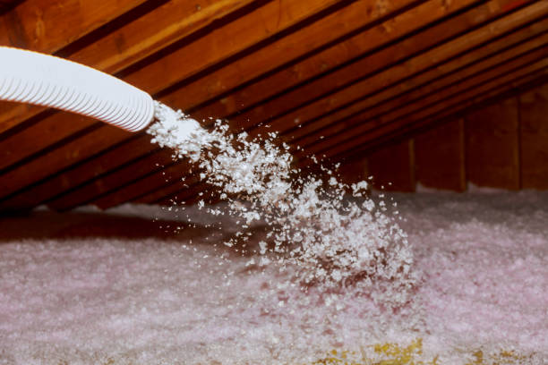 Types of Insulation We Offer in Lexington, SC