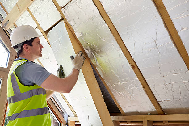 Professional Insulation Contractor in Lexington, SC